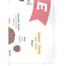 100 английских слов: запомню легко. Я и моя семья (двусторонний плакат-схема)