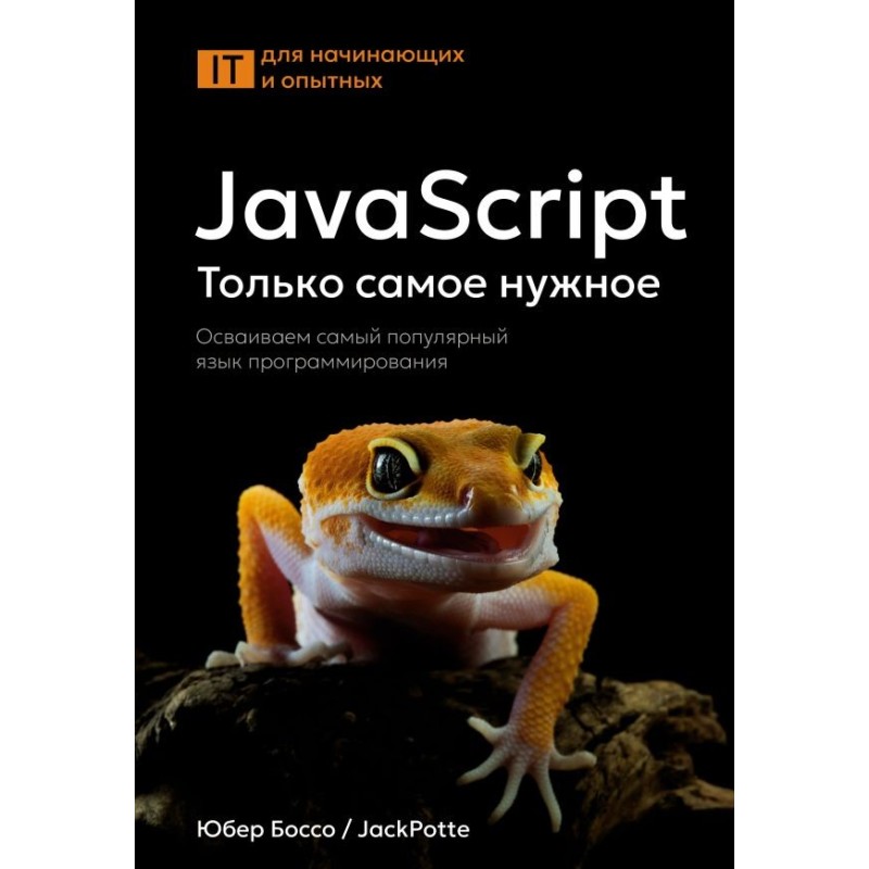 JavaScript, только самое нужное