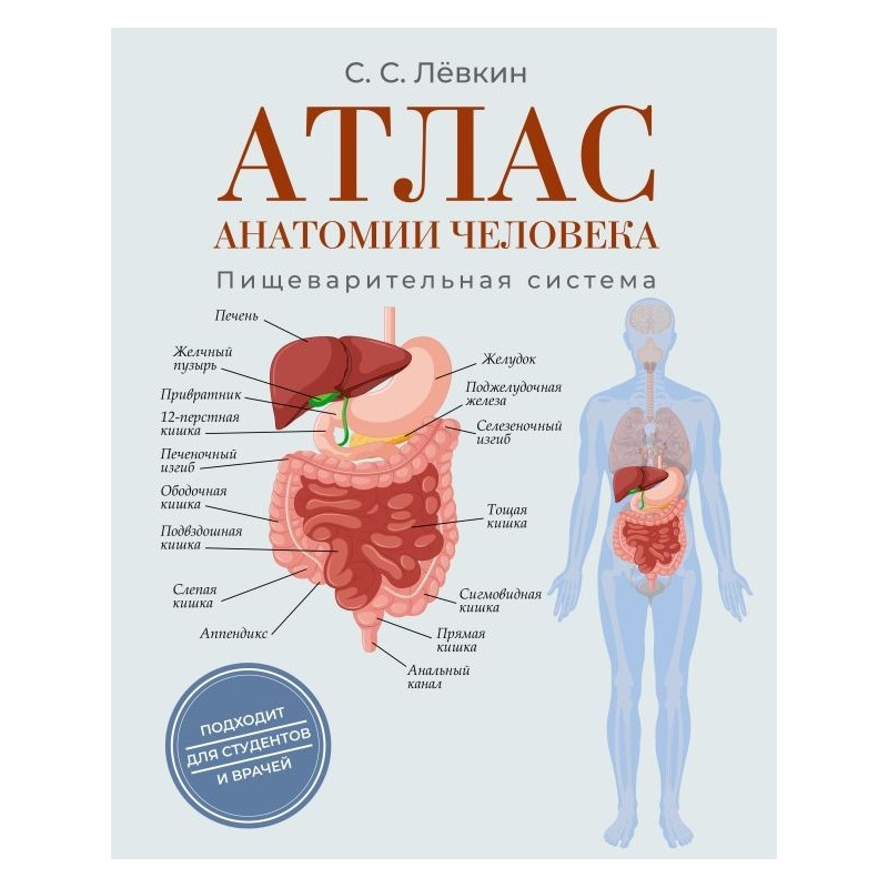 Атлас анатомии человека. Пищеварительная система