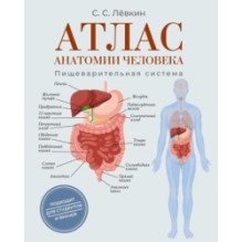 Атлас анатомии человека. Пищеварительная система