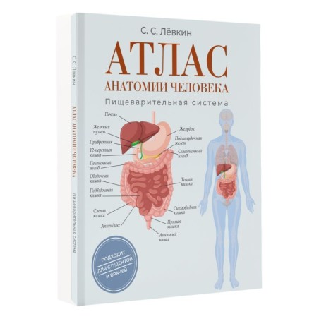Атлас анатомии человека. Пищеварительная система