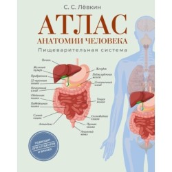 Атлас анатомии человека. Пищеварительная система