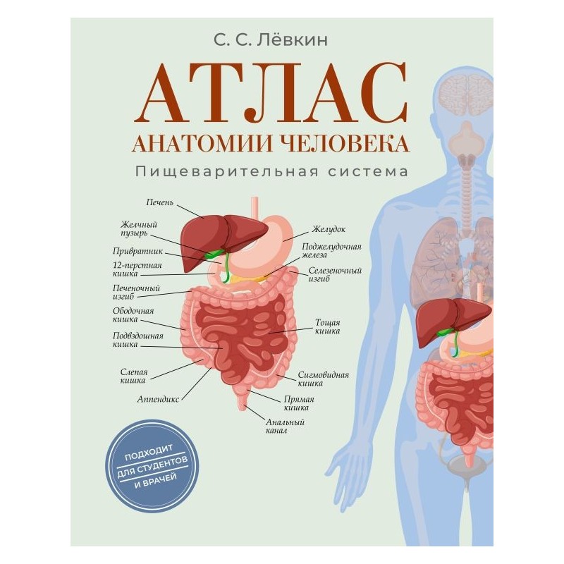 Атлас анатомии человека. Пищеварительная система