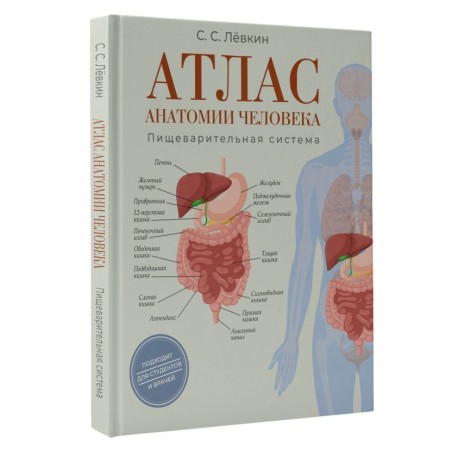Атлас анатомии человека. Пищеварительная система