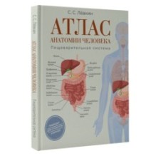 Атлас анатомии человека. Пищеварительная система