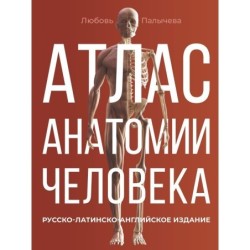 Атлас анатомии человека. Русско-латинско-английское издание