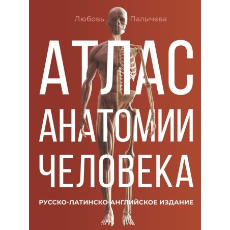 Атлас анатомии человека. Русско-латинско-английское издание