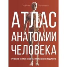 Атлас анатомии человека. Русско-латинско-английское издание