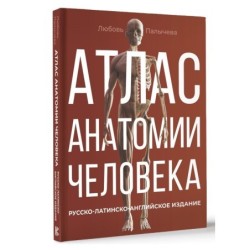 Атлас анатомии человека. Русско-латинско-английское издание
