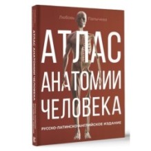 Атлас анатомии человека. Русско-латинско-английское издание