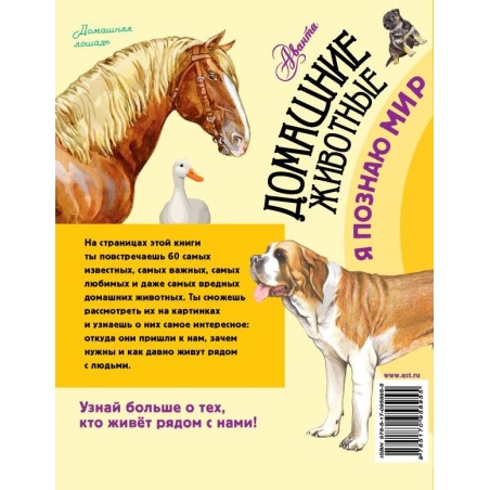 Домашние животные