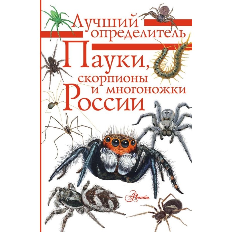 Пауки, скорпионы и многоножки России