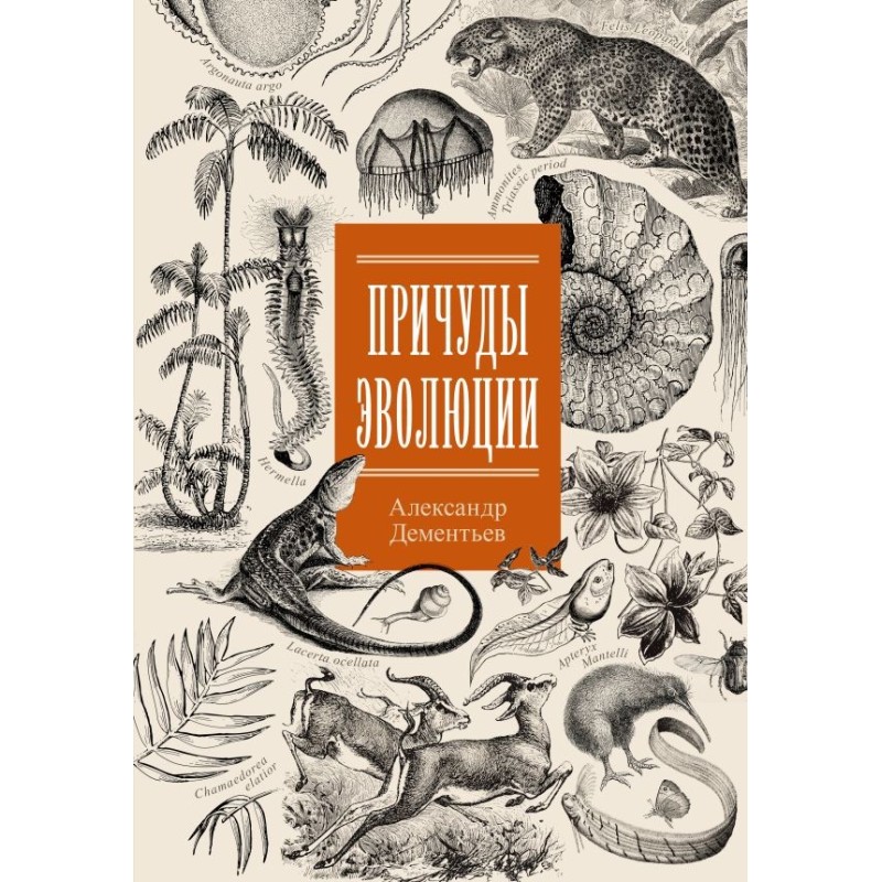 Причуды эволюции