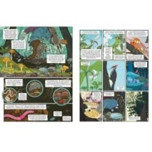 Рыцарь-гриб. Кн. 1