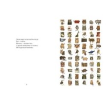 Звери в буквах