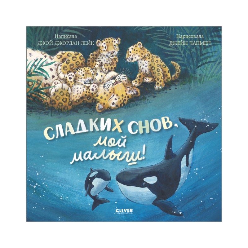 Книжки-картинки. Сладких снов, мой малыш!