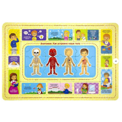 Развивающий пазл "Анатомия"