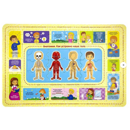 Развивающий пазл "Анатомия"