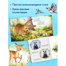 Книжки-картинки. Важный день малышки Мышки