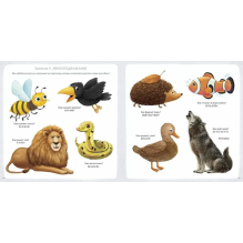 Альбом для развития мозга 1+