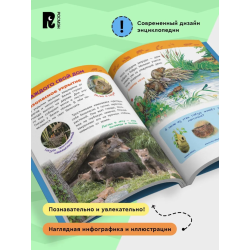 Детеныши животных (Энциклопедия для детского сада)