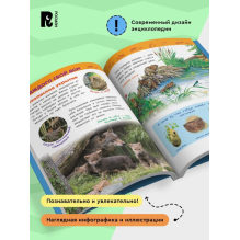 Детеныши животных (Энциклопедия для детского сада)