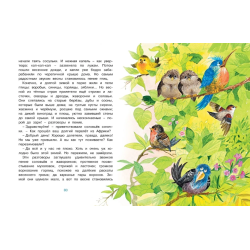 Где ночует солнышко?