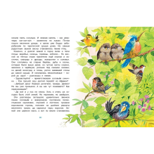 Где ночует солнышко?