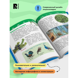 Чудеса родной природы (Энциклопедия для детского сада)