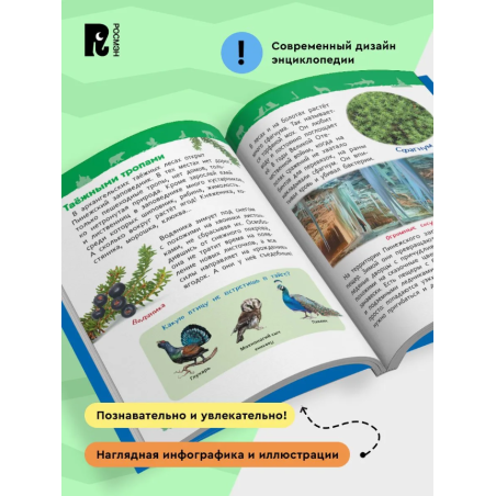 Чудеса родной природы (Энциклопедия для детского сада)