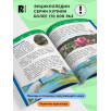 Чудеса родной природы (Энциклопедия для детского сада)