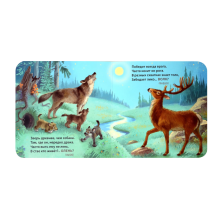 Книжки - картонки. Загадки - обманки. Дикие животные