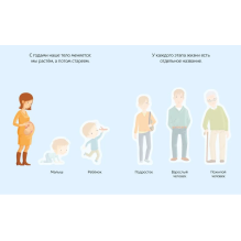 Раннее развитие малыша. Наклейки. Тело человека
