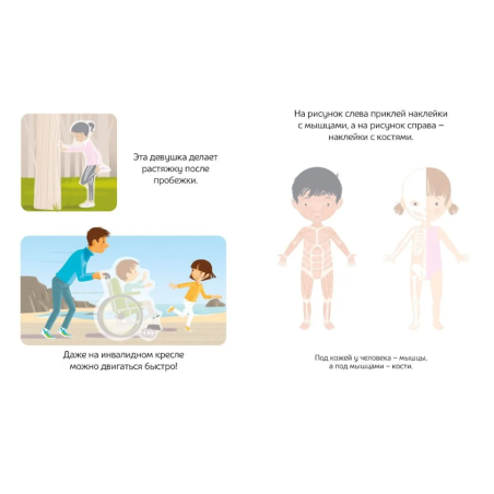 Раннее развитие малыша. Наклейки. Тело человека