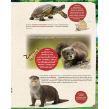 Петсон и Финдус изучают животных