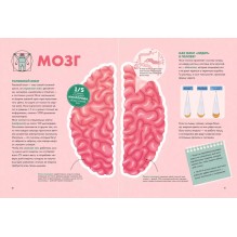 Твое тело. Как оно работает и меняется