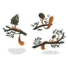 Это ТОЧНО последняя