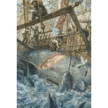 Моби Дик  (иллюстр. А. Ломаева)