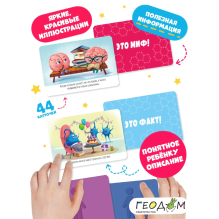 Настольная игра "Факт-миф. Тело человека"