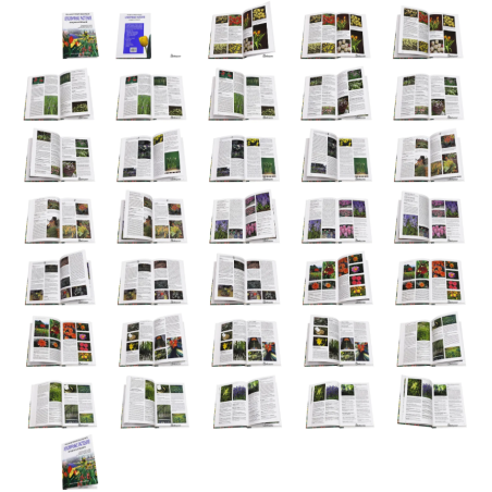 Луковичные растения. Иллюстрированная Энциклопедия