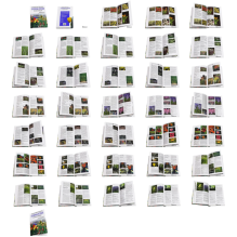 Луковичные растения. Иллюстрированная Энциклопедия