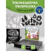 Подарочный набор театр теней   - Magic Box - Красная шапочка, Три поросенка