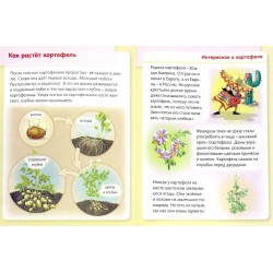 Удивительные превращения. Как живут и развиваются растения