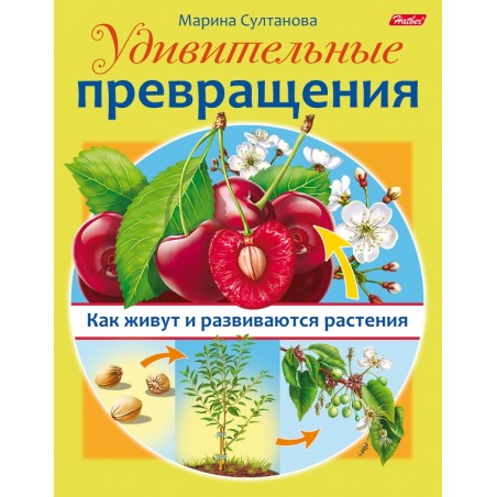 Удивительные превращения. Как живут и развиваются растения