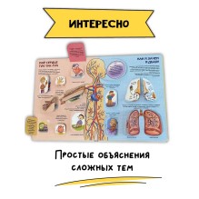 Книга детская энциклопедия с окошками Виммельбух