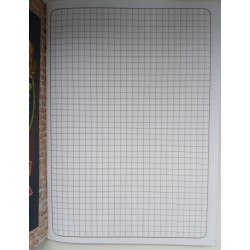 Общая тетрадь в клеточку - Hard school