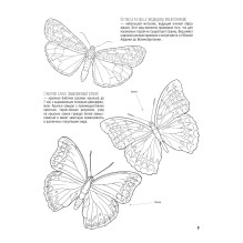 Бабочки и другие насекомые. Атлас-раскраска