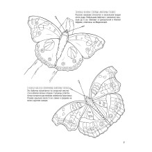 Бабочки и другие насекомые. Атлас-раскраска