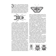 Бабочки и другие насекомые. Атлас-раскраска
