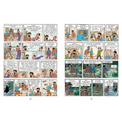 Приключения Тинтина. Дело Турнесоля